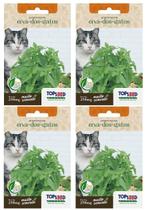 4X Sementes Erva Dos Gatos (Nepeta Cataria) Catnip TOPSEED