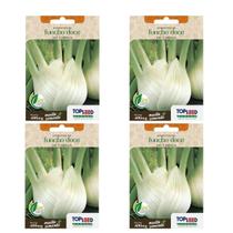 4X Sementes Funcho Doce de Cabeça (Erva-Doce) TOPSEED