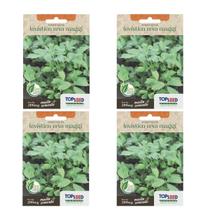 4X Sementes Levístico (Erva Maggi) TOPSEED 4X Sementes Levístico (Erva Maggi) TOPSEED