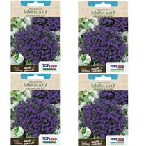4X Sementes Lobélia Azul Crystal Palace TOPSEED 4X Sementes Lobélia Azul Crystal Palace TOPSEED