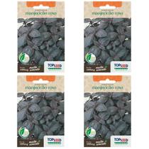 4X Sementes Manjericão Roxo (Basilicão) TOPSEED 4X Sementes Manjericão Roxo (Basilicão) TOPSEED