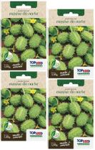 4X Sementes Maxixe Do Norte TOPSEED