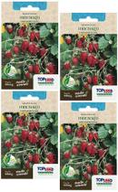 4X Sementes Morango Silvestre (Ornamental) TOPSEED 4X Sementes Morango Silvestre (Ornamental) TOPSEED