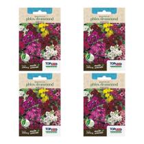 4X Sementes Phlox Drummond (Sortido) TOPSEED 4X Sementes Phlox Drummond (Sortido) TOPSEED