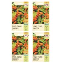 4X Sementes Pimenta Stromboli Ornamental ISLA 4X Sementes Pimenta Stromboli Ornamental ISLA
