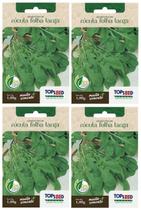 4X Sementes Rúcula Folha Larga TOPSEED 4X Sementes Rúcula Folha Larga TOPSEED