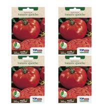 4X Sementes Tomate Gaúcho TOPSEED 4X Sementes Tomate Gaúcho TOPSEED