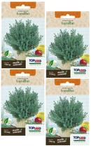 4X Sementes Tomilho (Timo) TOPSEED 4X Sementes Tomilho (Timo) TOPSEED