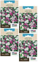 4X Sementes Vinca Anã Sortida TOPSEED