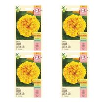 4X Sementes Zinnia Luz da Lua ISLA
