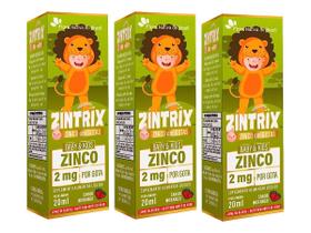 4x Zintrix Zinco Em Gotas Baby & Kids 2mg Por Gota 20ml