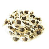 5.000 Semente de Moringa Silagem Plantio Forragem Gado Alta Germinação