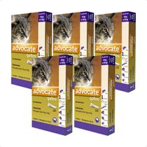 5 Advocate Gatos 4 Kg A 8 Kg Antipulgas Envio Imediato C/ Nf