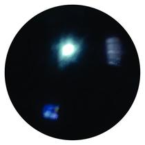 5 Bolas Bolão De Vinil Lisa 36 Cm Lembrancinhas Decorações 5 Bolas Bolão De Vinil Lisa 36 Cm Lembrancinhas Decorações