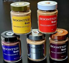 5 BOOSTER UPdeKefir