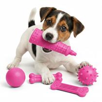 5 Brinquedos Para Cães Pet Mordedor Bolinhas Ossos E Pasta De Dente Borracha Atóxica