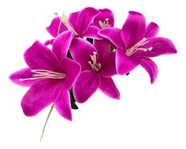 5 Buquês Lírio Artificial Novo - Decoração Elegante - Roxo 2