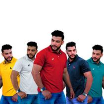 5 Camisa Polo Masculina Original Qualidade Escolha suas Cores - ESTILO REI