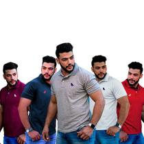 5 Camisa Polo Original Aproveite A Promoção 40% De Desconto 5 Camisa Polo Original Aproveite A Promoção 40% De Desconto