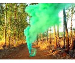 5 Canhões De Pó Colorido Com Serpentina + 2 Latas De Fumaça - Chá Revelação