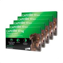 5 Capstar Antipulgas Mata Berne Cães Até 57kg Envio Imediato