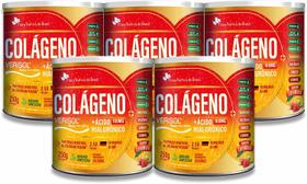 5 Colágeno Verisol+Ácido Hialurônico 250g Sabor Laramora FNB - Flora Nativa do Brasil