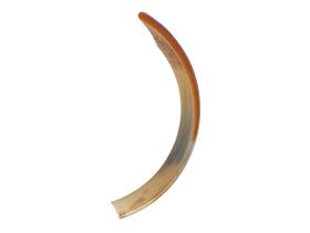 5 dentes grandes de castor reais, naturais e de tamanho único