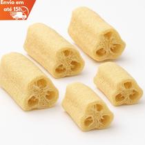 5 Esponja Bucha Vegetal Natural Banho Esfoliação
