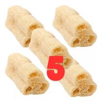5 Esponjas Bucha Vegetal Natural Limpeza Profunda Esfoliaçao - sitio santo antonio