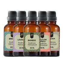 5 Essências A Base De Água Hidrossolúvel 30ml Nattuaromas 5 Essências A Base De Água Hidrossolúvel 30ml Nattuaromas