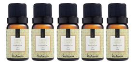 5 Essências Aromatizador Difusor Elétrico 10ml Via Aromas - Varias Fragrancias