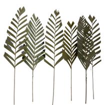 5 Folha de Areca Seca Desidratada Decoração Arranjo Floral Buque De Casamento