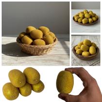 5 Frutas Artificiais Decorativas Kiwi Textura Natural para Vitrine, Eventos Comerciais e Enfeites Cenográficos - DE2525