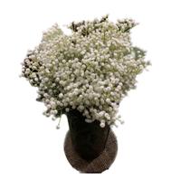 5 galhos/5 buquês de mosquitinhos artificiais/musquitinhos