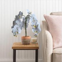 5 Hastes de Orquídea phalaenopsis Branca Artificial 100X15 Perfeita para Sala, Hall e Ambientes Internos DE1324 5 Hastes de Orquídea phalaenopsis Branca Artificial 100X15 Perfeita para Sala, Hall e Ambientes Internos DE1324