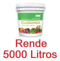 5 Kg Sanitizante Germicida Frutas Verduras - Rende 5000 Lts - Silver Chemical
