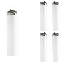 5 Lâmpadas Tubular Philips Fluorescente T8 4100k 16w Bivolt
