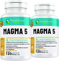 5 Magnésio 240 cápsulas 500mg MAGMA 5 Suplemento Dimala to Taurato kit 2 frascos x 120 cápsulas