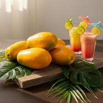 5 Mamões Artificiais Realistas (12CM) Perfeitos Para Vitrines, Ambientes Comerciais E Decoração Cenográfica - DE2725