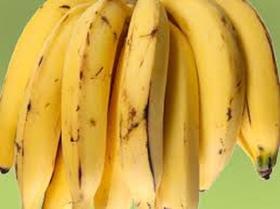 5 Mudas De Banana Da Terra - Resistente A Doenças - DECORA GARDEN