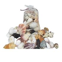 5 Pacotes com 600g de Conchas Mar para Aquário e Decoração