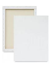 5 Telas de Algodão Profissional Crua para Pintura 50x50 Ótima Qualidade 5 Telas de Algodão Profissional Crua para Pintura 50x50 Ótima Qualidade