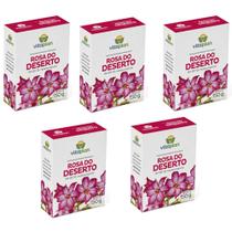 5 Un - Fertilizante Rosa Do Deserto 04-20-12 Vitaplan 150g 5 Un - Fertilizante Rosa Do Deserto 04-20-12 Vitaplan 150g