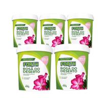 5 Unidades Adubo Fertilizante Mineral Forth Rosa Do Deserto 400g 5 Unidades Adubo Fertilizante Mineral Forth Rosa Do Deserto 400g