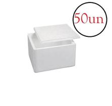 50 Caixas Térmicas Doces Medicamento Sorvetes Isopor De 1Kg 50 Caixas Térmicas Doces Medicamento Sorvetes Isopor De 1Kg