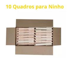 50 Caixilho Quadro Ninho Desmontado Abelha Apicultura