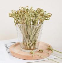 50 pcs Bambu espetinho 9 cm Petisco degustação buffet 50 pcs Bambu espetinho 9 cm Petisco degustação buffet