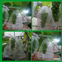 50 Sacos Para Proteção Frutas No Pe Lavável 12 X 17 cm