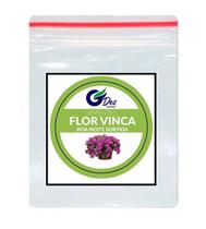 50 Sementes De Flor Vinca Boa Noite Sortida 50 Sementes De Flor Vinca Boa Noite Sortida