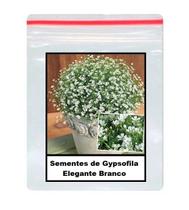 50 Sementes de Gypsofila Elegante Branco